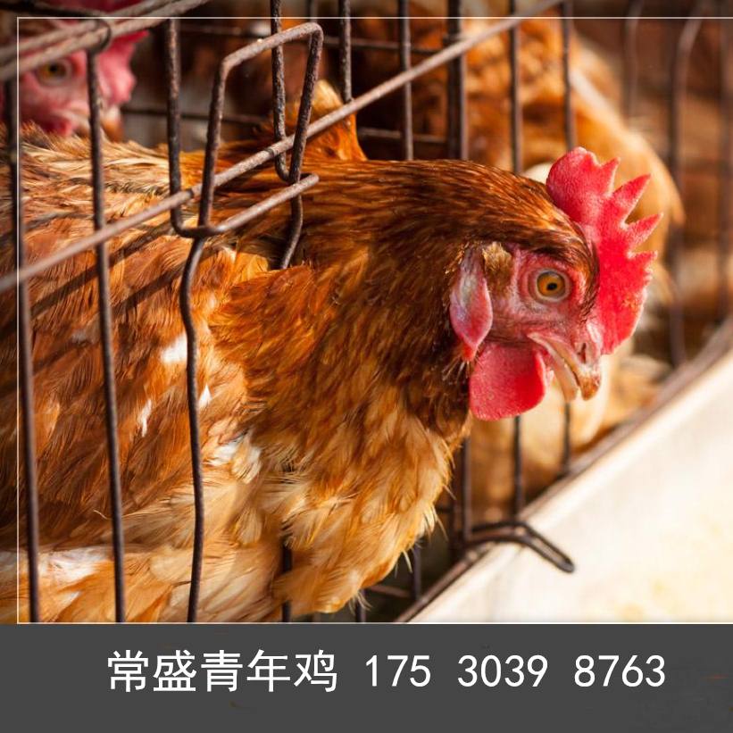 烟台天天顺代理记账有限公司