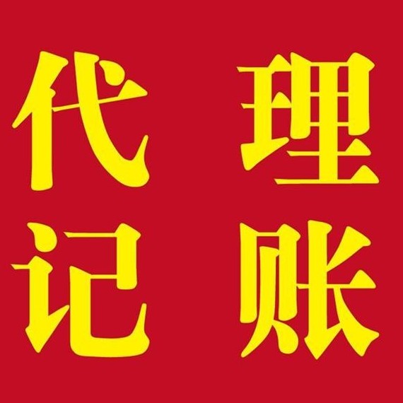 南京京而立财务咨询服务有限公司