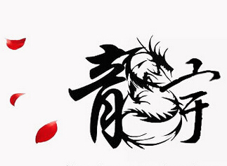 高阳县龙宇汽车配件销售部