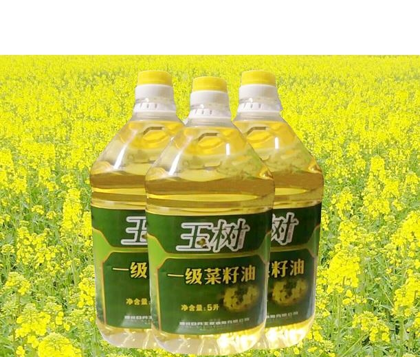 玉树一级菜籽油5L|20L粮油|食用油【营养丰富】