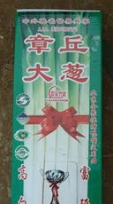 章丘大葱|兴盛大葱|欢迎前来洽谈