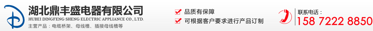 湖北鼎丰盛电器有限公司